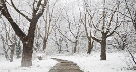 path