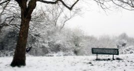 Cold day in London